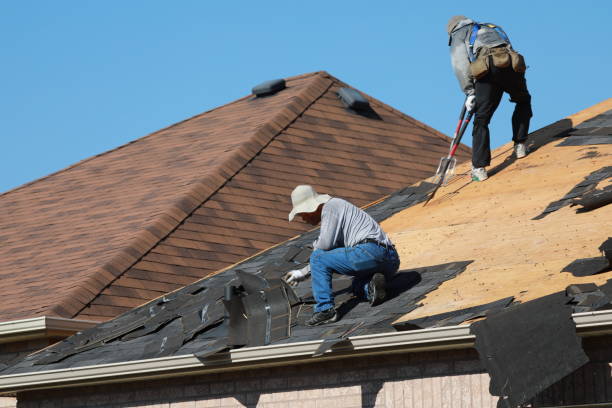 Skylights in Templeton, CA