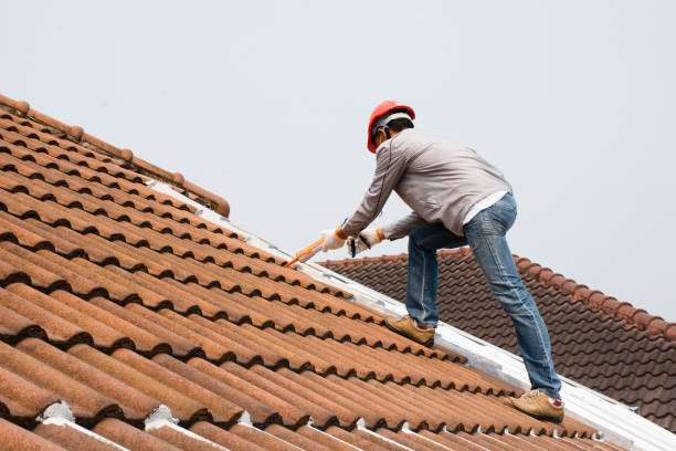  Templeton, CA Roofing repair and installation Pros